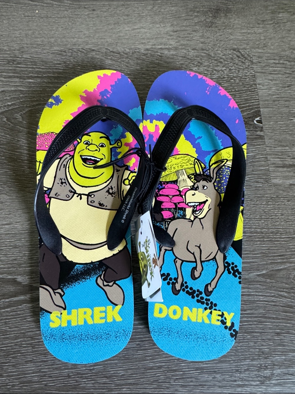 Shrek & Donkey Men or Women' Flip Flops - Bright Multi